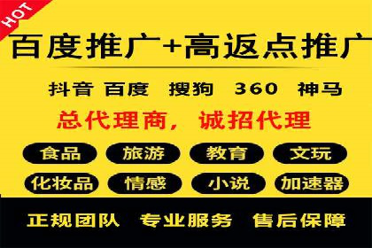 百度SEO推广公司案例精选：揭秘优化策略